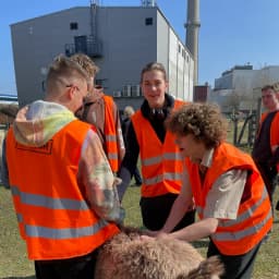 Obrázek WhatsApp, 2025-03-28 v 19.42.46 c0fe486b